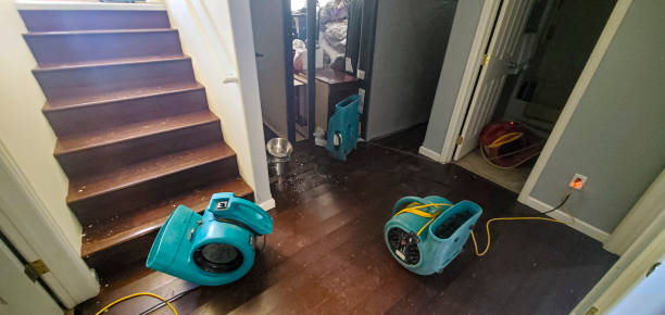 Best Carpet water damage restoration  in Fkville, AL