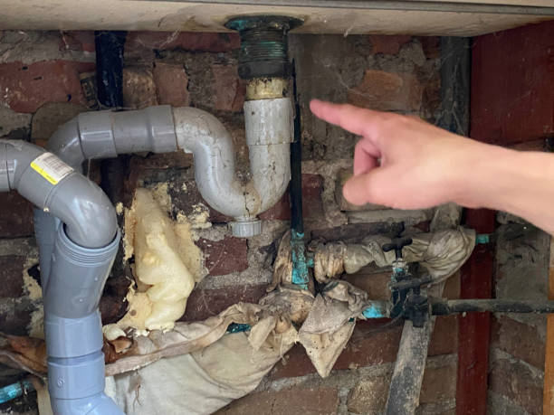 Best Flooded house restoration  in Fkville, AL